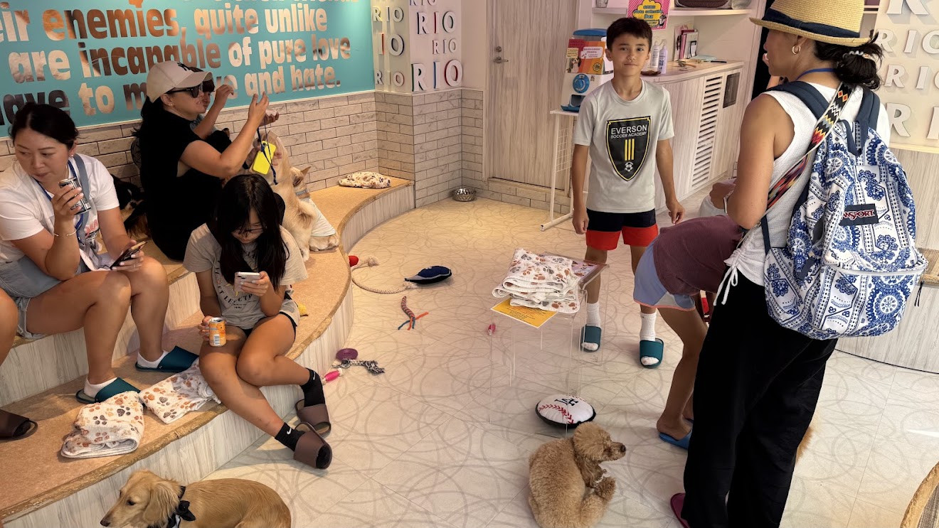 Family and friends sitting on the floor and playing with small dogs at a dog cafe